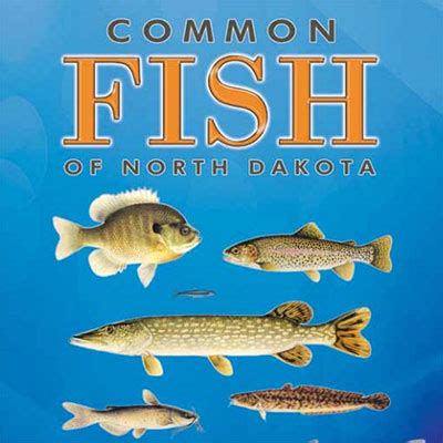 north dakota fish and game|Wildlife and Conservation .